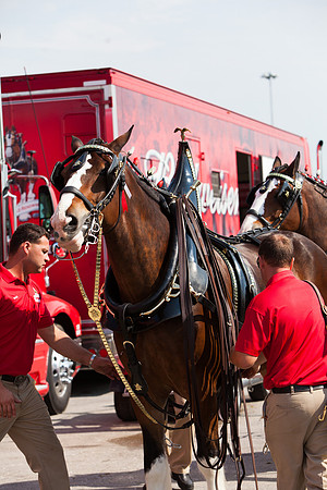 NHRA Nationals Norwalk 2015-039