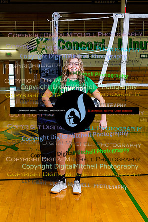34-Volleyball 2020