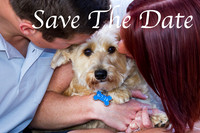 Save The Date 3