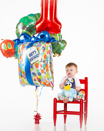 119-Alen Bouman 1st Bday