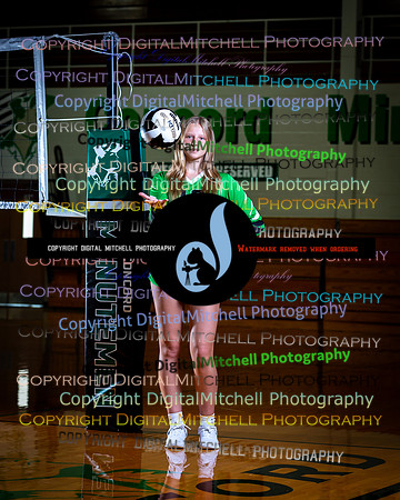 37-CHS 2024 Vollyball