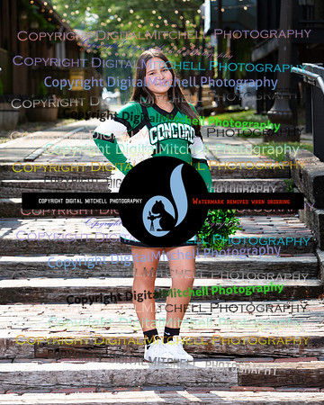 144-2024 Fall Cheer