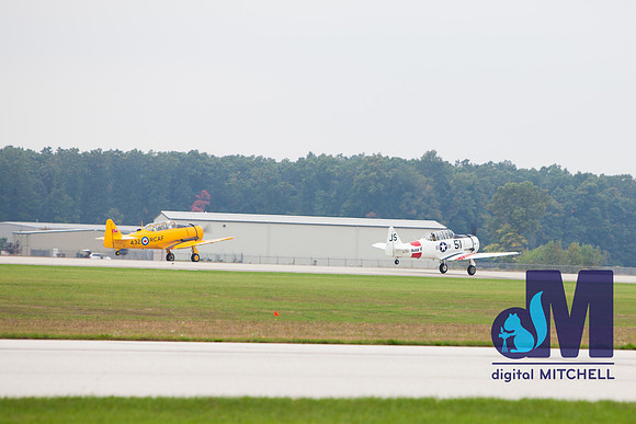 WarBirds2013-1838