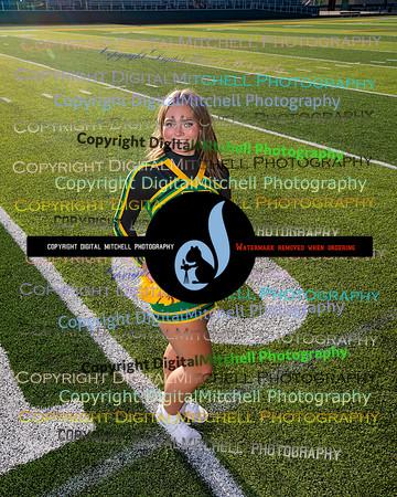 513-NHS 2024 Fall