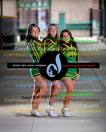 85-NHS 2025 Fall Cheer