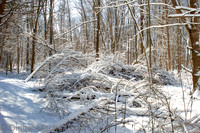 82-Cobus Creek Winter 2-18-22