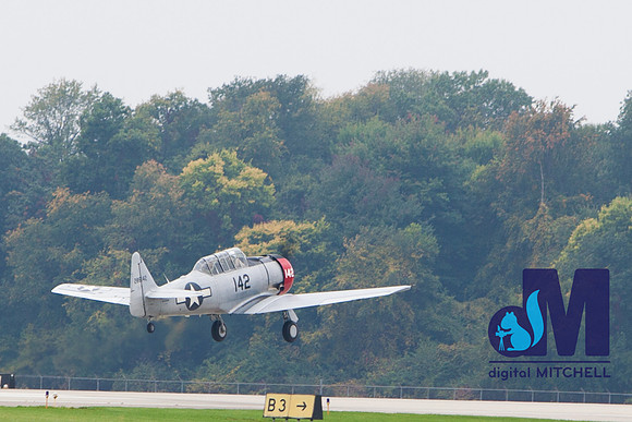 WarBirds2013-1849