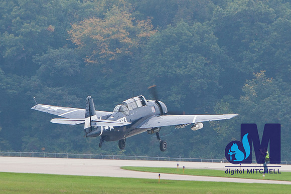 WarBirds2013-1979