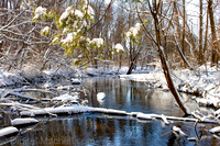 127-Cobus Creek Winter 2-18-22