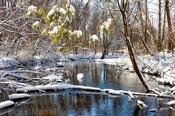 127-Cobus Creek Winter 2-18-22