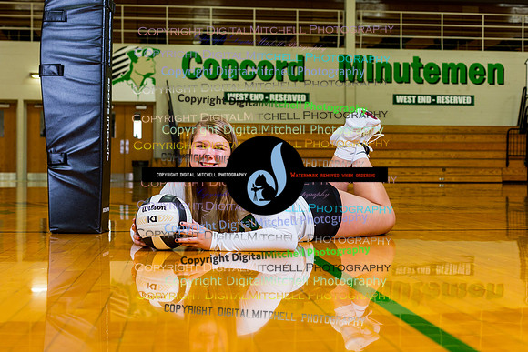 89-Volleyball 2020