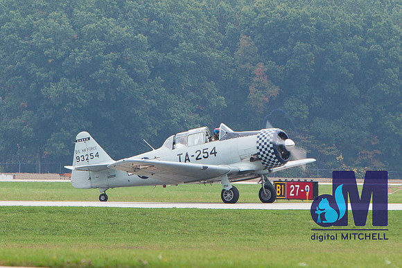 WarBirds2013-1932