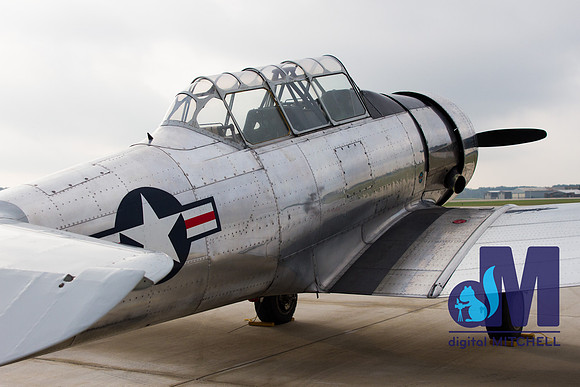 WarBirds2013-2886