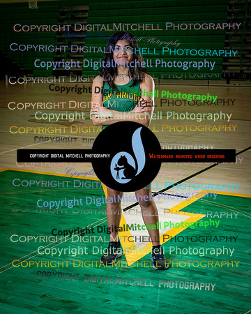 438-NHS 2025 Track and Softball