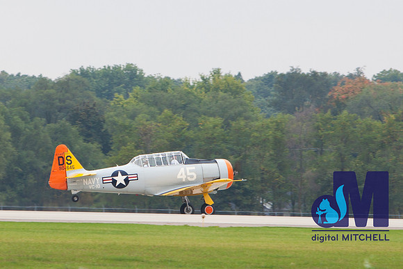 WarBirds2013-1847