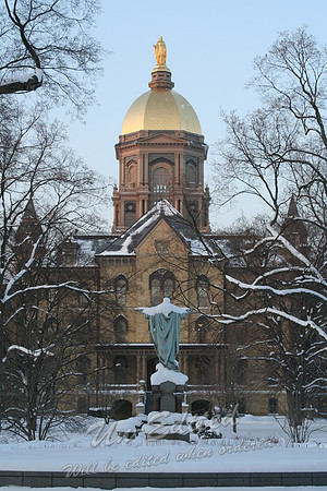 Snowy Golden Dome