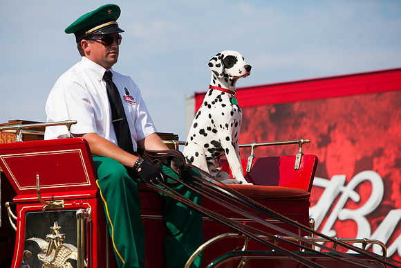 NHRA Nationals Norwalk 2015-035