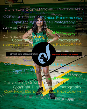 440-NHS 2025 Track and Softball