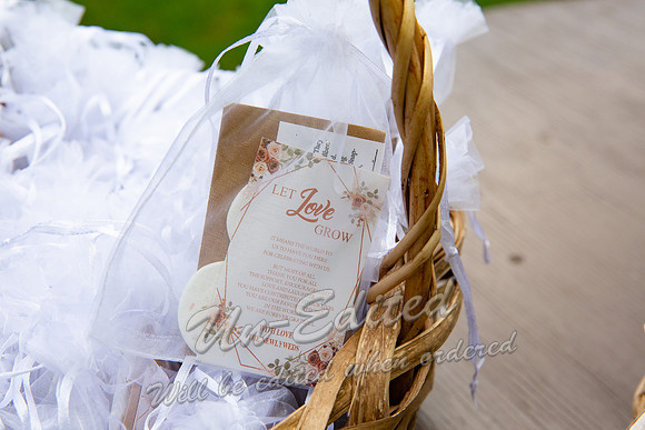 541-Wedding