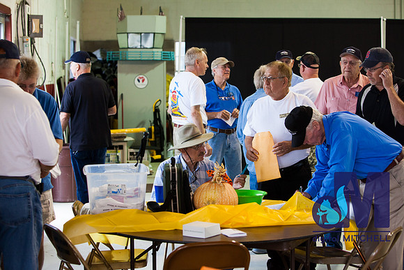 WarBirds2013-1490