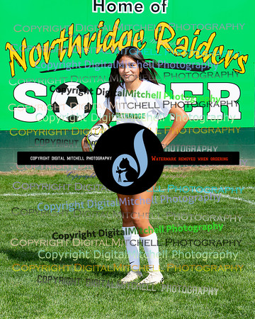 394-NHS 2024 Fall