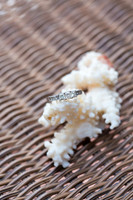 CL_Wedding-533