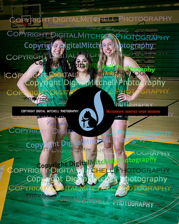 433-NHS 2025 Track and Softball
