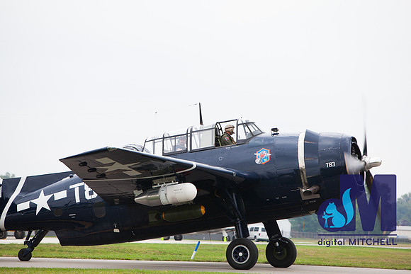 WarBirds2013-1897