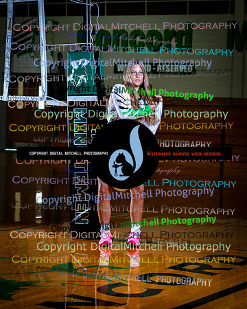93-CHS 2024 Vollyball