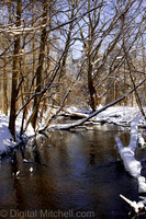 101-Cobus Creek Winter 2-18-22