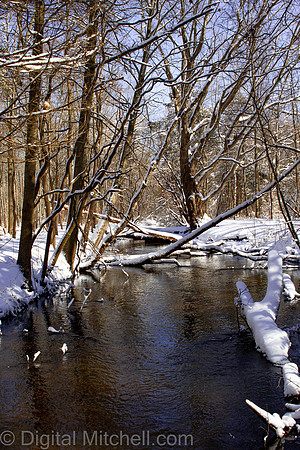 101-Cobus Creek Winter 2-18-22