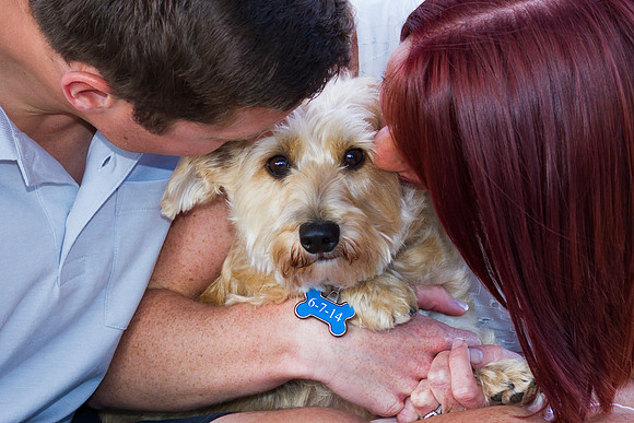 Save The Date Dog Tag
