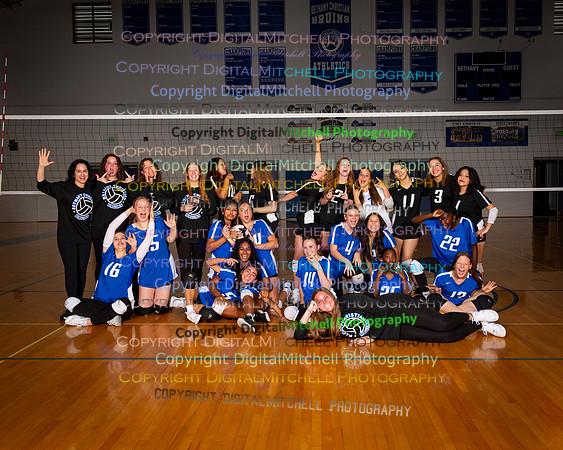 98-2024 VB