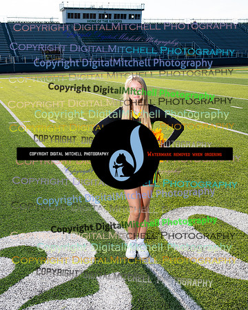 246-NHS 2024 Fall
