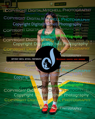 383-NHS 2025 Track and Softball
