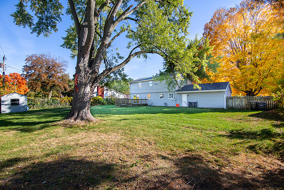 146-3006 Birch-HDR