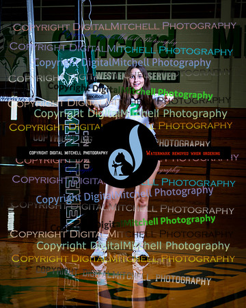 105-CHS 2024 Vollyball