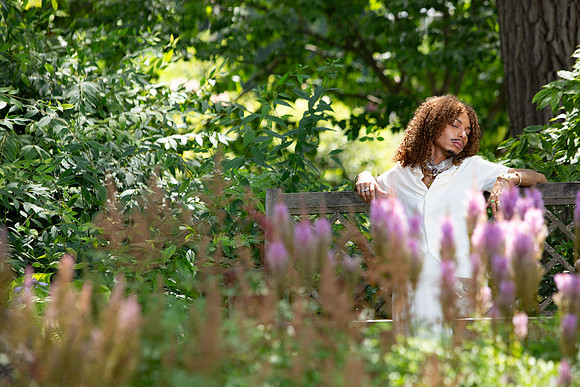 160-Donovan Picknic
