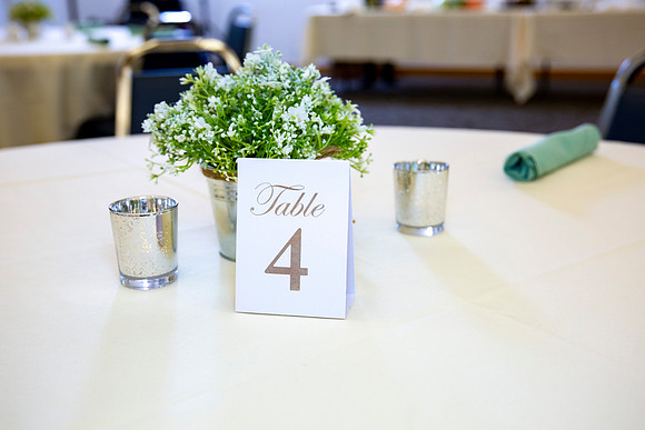 7-galperin bat mitzvah party