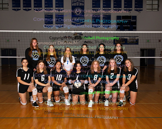 100-2024 VB