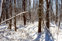 95-Cobus Creek Winter 2-18-22