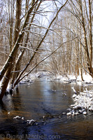 107-Cobus Creek Winter 2-18-22