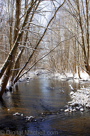 107-Cobus Creek Winter 2-18-22