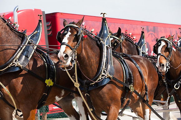 NHRA Nationals Norwalk 2015-018