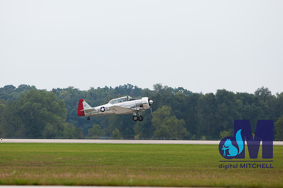 WarBirds2013-1520