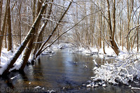 103-Cobus Creek Winter 2-18-22