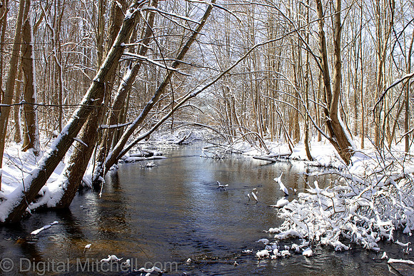 103-Cobus Creek Winter 2-18-22