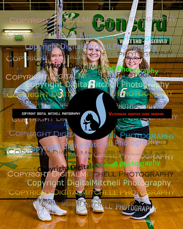 148-Volleyball 2020