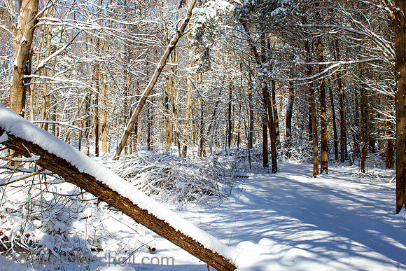 79-Cobus Creek Winter 2-18-22