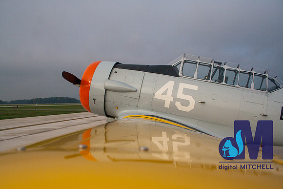 WarBirds2013-2474